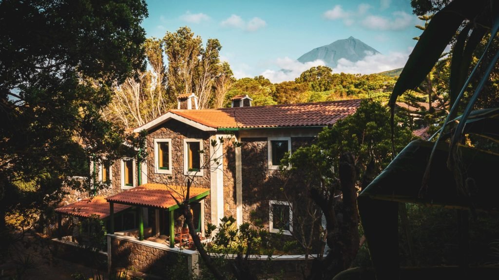 Nature Hotel View