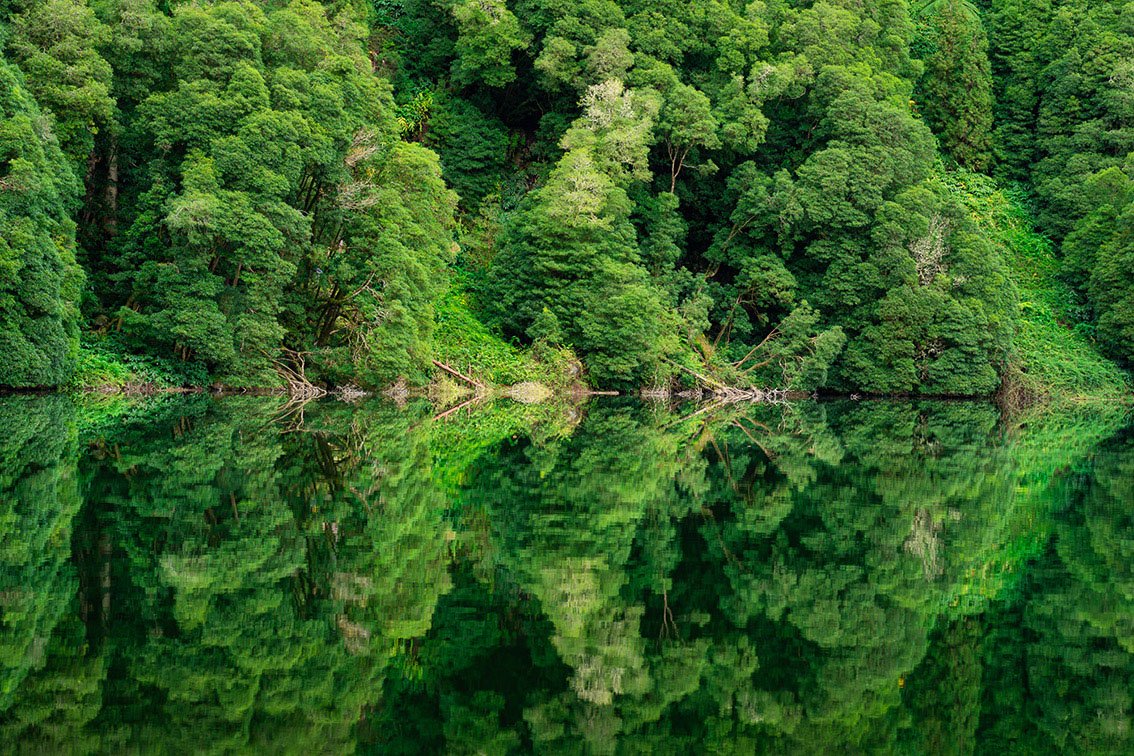 Whatcanido foto colection 0017 Bruno Ázera Azores
